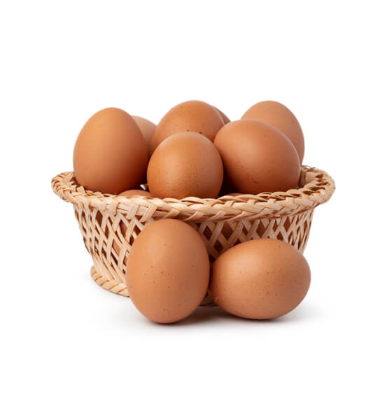 Khetpal Sai Enterprises